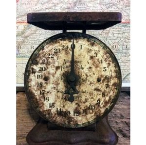 Vintage American Family 25 Pound Capacity Scale